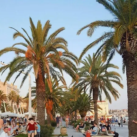 Oasis In The Heart Of Апартаменты Сплит